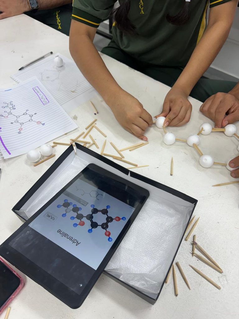 Governo do Amazonas apoia projeto que ensina estruturas hormonais femininas com bioinformática, modelagem e impressão 3D