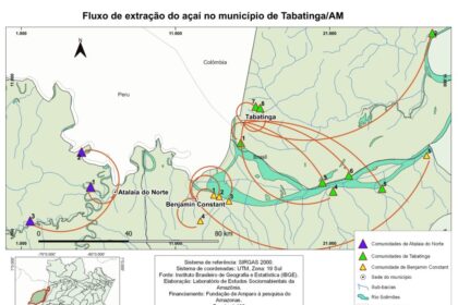 Com apoio do Governo do Amazonas, pesquisa identifica os circuitos de extração e comercialização do açaí e do mapati na Tríplice Fronteira