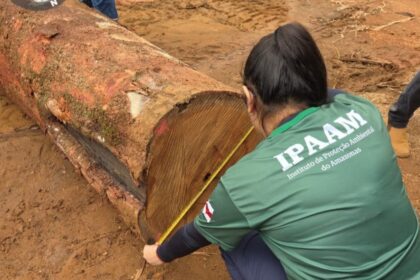 Portaria do Ipaam ajusta valores da reposição florestal e incentiva a legalidade
