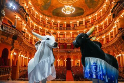 Cultura Viva: Inscrições para a 1ª Teia Amazonas começam nesta quinta-feira