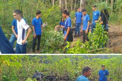 Projeto apoiado pelo Governo do Amazonas analisa a produção e herança cultural da farinha de mandioca em Barreirinha