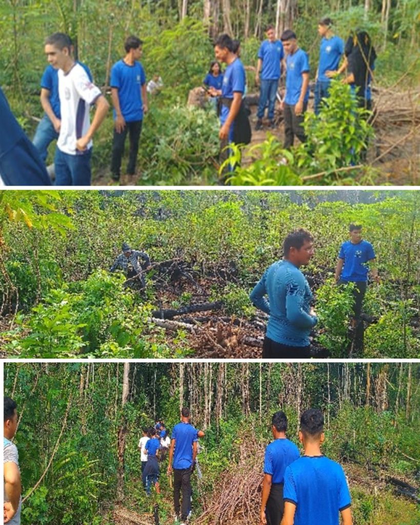 Projeto apoiado pelo Governo do Amazonas analisa a produção e herança cultural da farinha de mandioca em Barreirinha