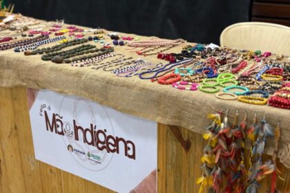 Fepiam leva artesãos do projeto ‘Feito à Mão Indígena’ para 30º Festival do Peixe Ornamental de Barcelos