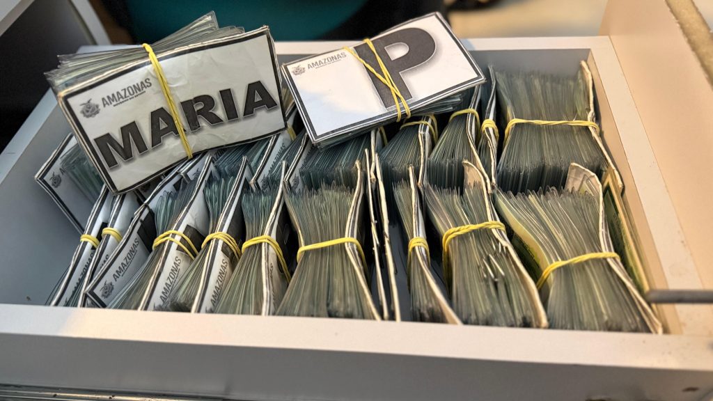 Sejusc registra aumento de 38% em violações de direitos da pessoa idosa durante o ano de 2025