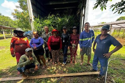 Com produção em alta no Amazonas, açaí é reconhecido oficialmente como fruta autenticamente brasileira