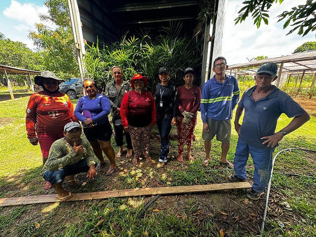 Com produção em alta no Amazonas, açaí é reconhecido oficialmente como fruta autenticamente brasileira