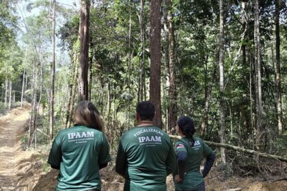 Período do Defeso Florestal inicia nesta quinta-feira no Amazonas