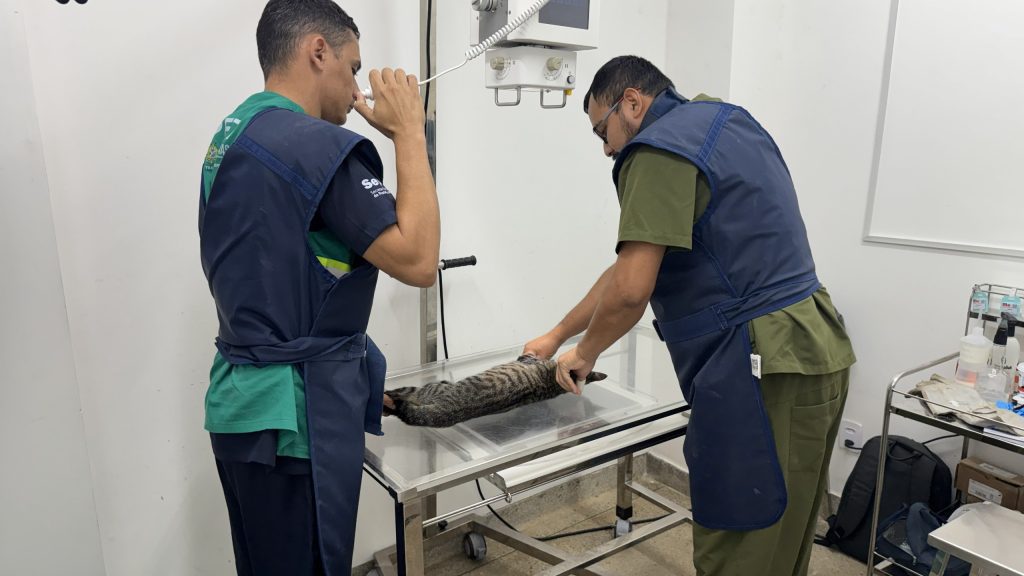 Sepet resgata animal vítima de maus-tratos no Residencial Eliza Miranda, em Manaus