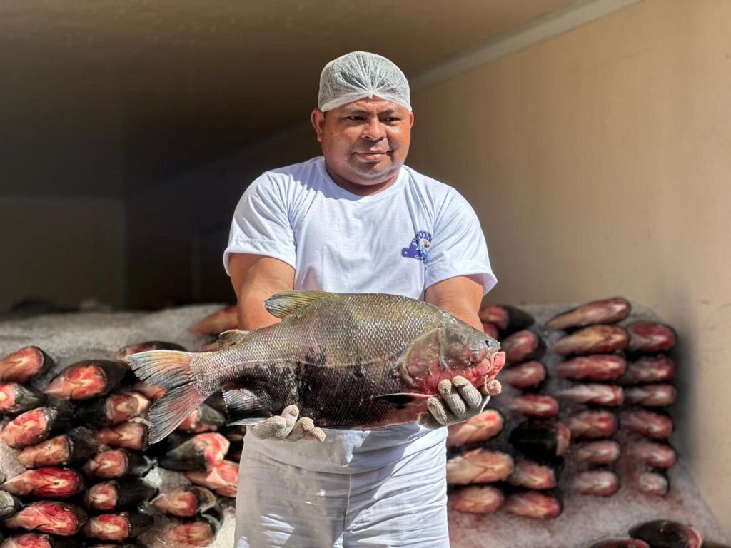 Governo do Amazonas investe mais de R$ 23 milhões na agricultura por meio do PAF em 2025