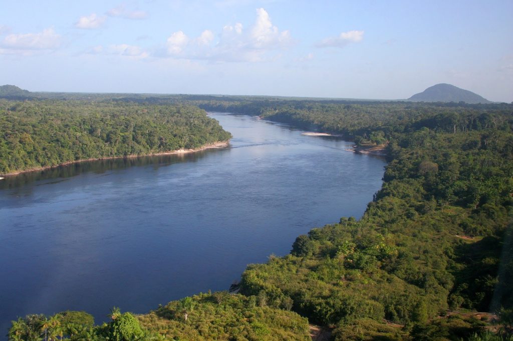 Fapeam e Fapesp recebem projetos de pesquisa sobre valorização da sociobiodiversidade amazônica