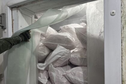 Ipaam vai acionar MPAM após fiscalização identificar irregularidades em frigorífico de pescados de Manacapuru