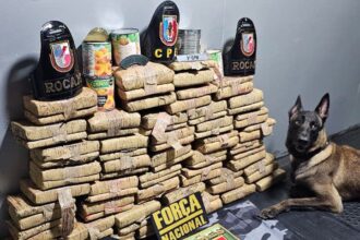 Base Arpão 2: PMAM apreende mais de 70 quilos de drogas escondidas em tubos de PVC e latas