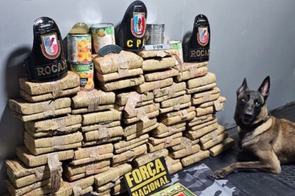 Base Arpão 2: PMAM apreende mais de 70 quilos de drogas escondidas em tubos de PVC e latas