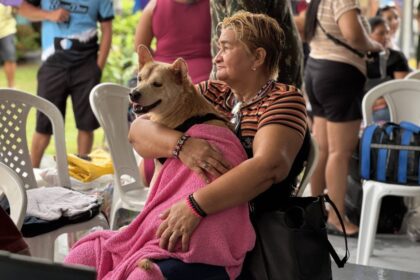 Governo do Amazonas promove ação de castração solidária de animais no bairro Betânia, zona sul da capital