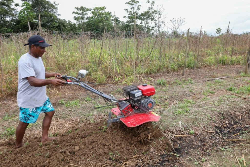 Sepror publica tabela de preços de ‘Compra e Venda de Produtos Agropecuários e Florestais’ de janeiro de 2026