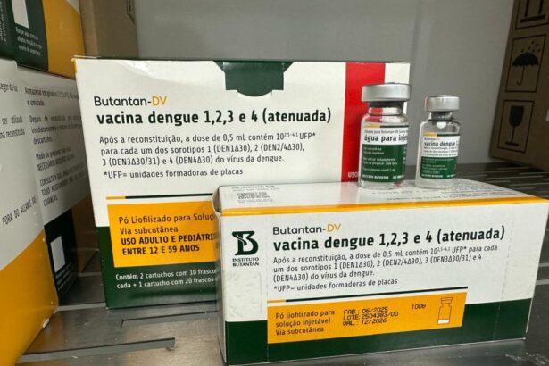 Vacina contra dengue: FVS-RCP orienta imunização de trabalhadores da Atenção Primária no Amazonas