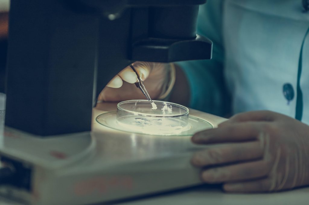 Fapeam abre as inscrições para programas inéditos Lidera Cientista, Provida e Socio Tech