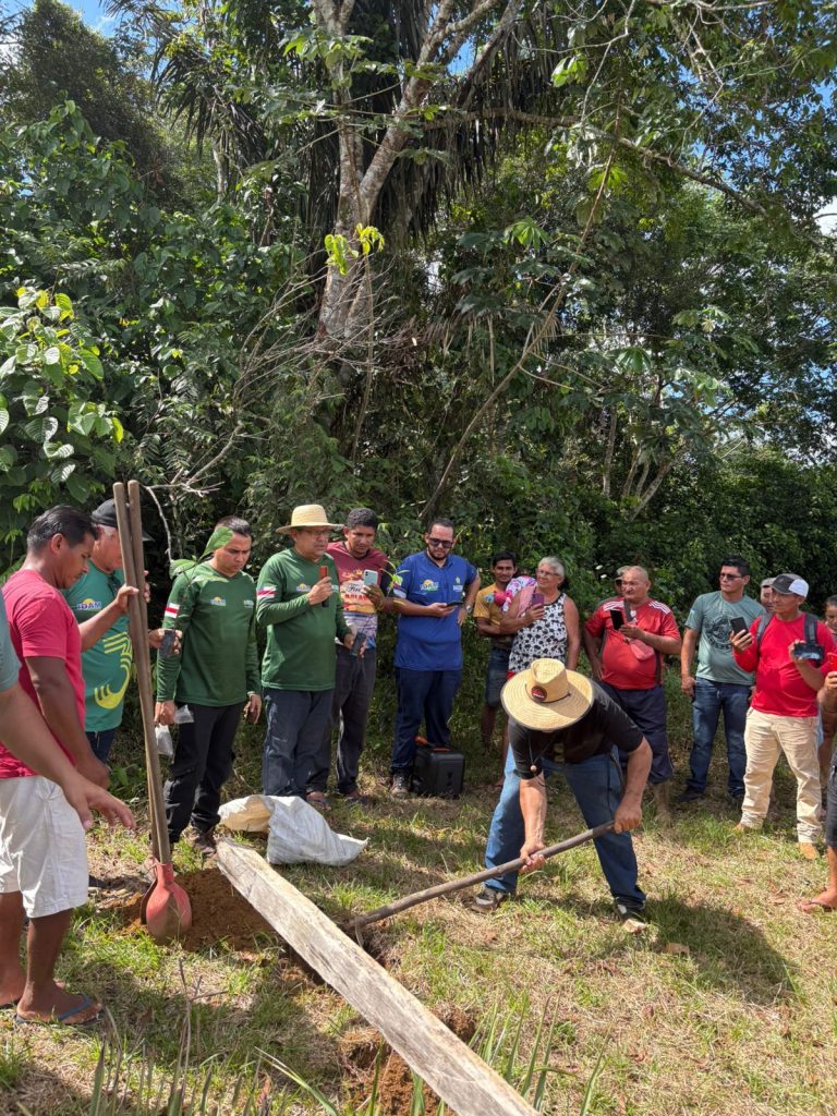 Em Iranduba e Manacapuru, Idam distribui 6,1 mil mudas de castanheira a agricultores familiares