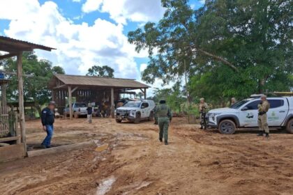 Operação Tamoiotatá 6: Ipaam aplica R$ 2,7 milhões em multas em nova ação de fiscalização em Humaitá