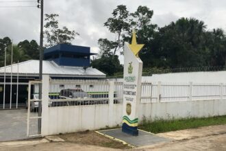 PC-AM e PMAM apreendem maconha avaliada em R$ 1,1 milhão, em Benjamin Constant