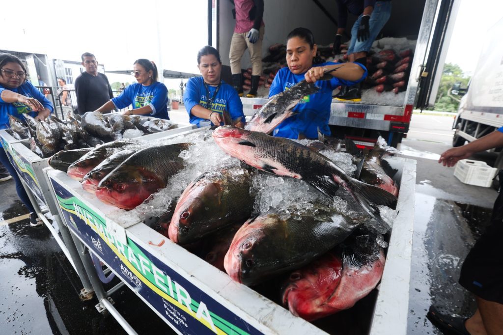 “Vai ajudar os idosos”, diz diretora de instituição social beneficiada com entrega de pescado
