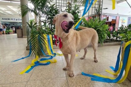 Sepet leva evento de adoção e vacinação animal ao Shopping Ponta Negra no sábado