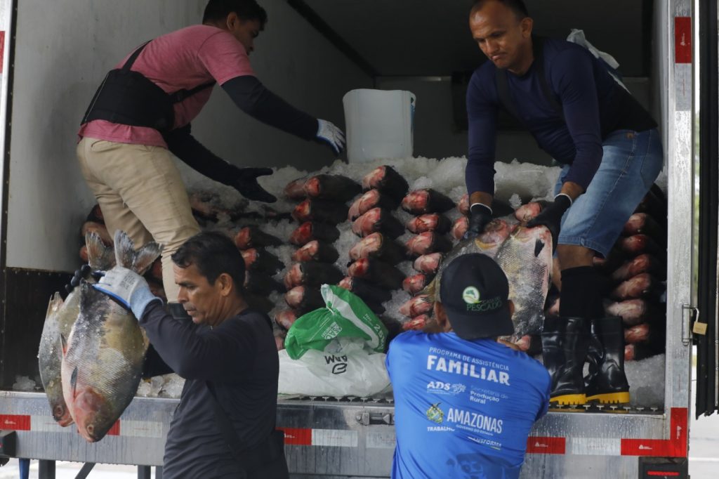 Governador Wilson Lima inicia entrega de 470 toneladas de peixe e reforça segurança alimentar na Semana Santa