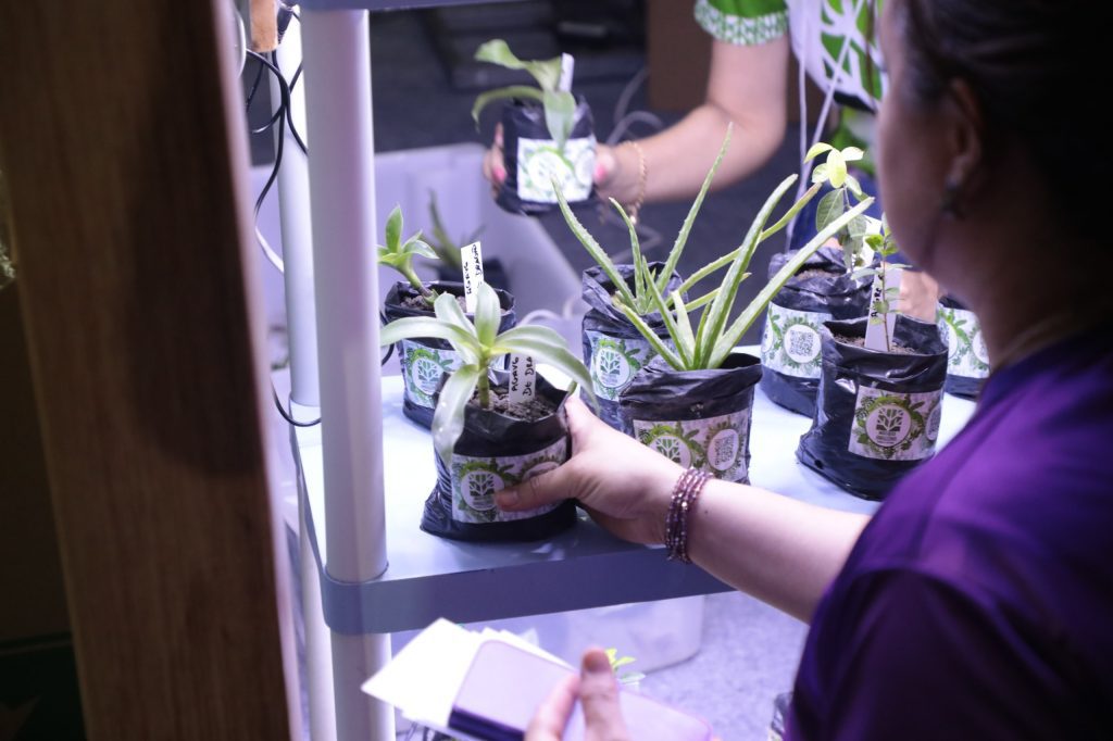 Fapeam recebe inscrições para os programas Painter Ecoturismo e Profix-RH até 9 de abril