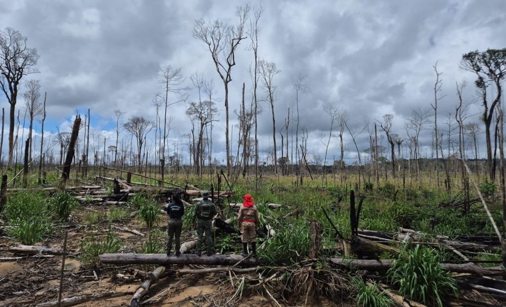 Ipaam conclui 3ª etapa da Operação Tamoiotatá 6 com mais de R$ 10 milhões em multas no sul do Amazonas