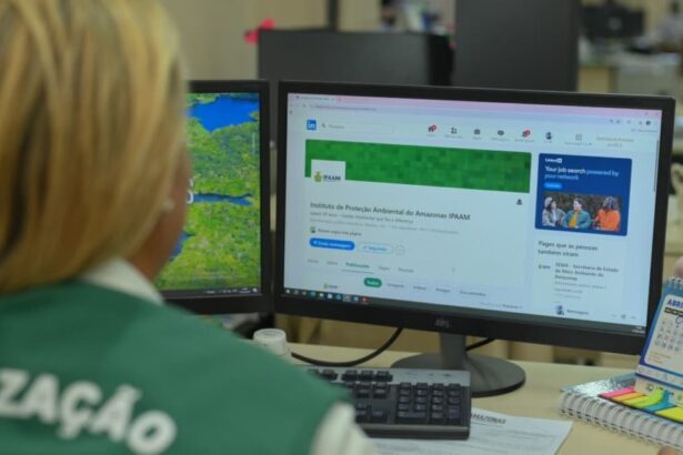 Oportunidade: Ipaam lança perfil no LinkedIn com nove vagas de estágio