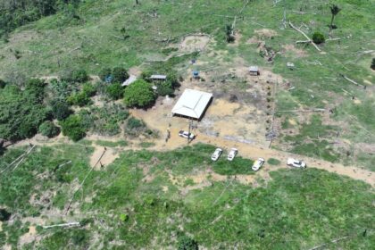 Operação Tamoiotatá 6: Segunda etapa é concluída com mais de R$ 32 milhões em multas por infrações ambientais