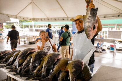 Semana Santa: Governo do Amazonas dá início ao Feirão do Pescado em dois pontos estratégicos de Manaus