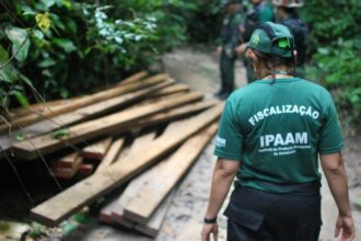 Ipaam define novas regras para cadastro ambiental obrigatório no Amazonas