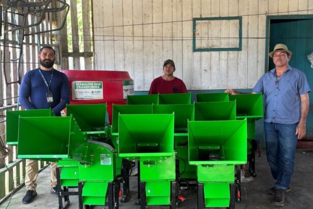 Com assistência técnica do Idam, pecuaristas de Boa Vista do Ramos recebem fomento de R$ 180 mil