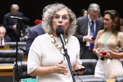 Comissão da Câmara aprova criação do Selo Empresa Amiga da Maternidade Solo