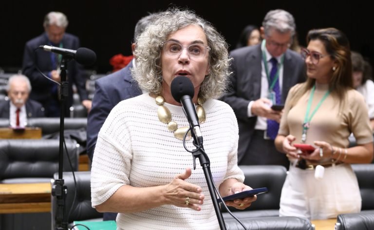Comissão da Câmara aprova criação do Selo Empresa Amiga da Maternidade Solo