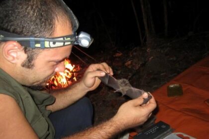 Pesquisa apoiada pelo Governo do Amazonas amplia conhecimento sobre biodiversidade e impactos ambientais na Amazônia