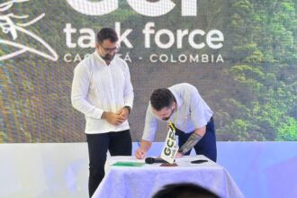 Governo do Amazonas firma parceria com FSC Brasil para fortalecer manejo sustentável em Unidades de Conservação