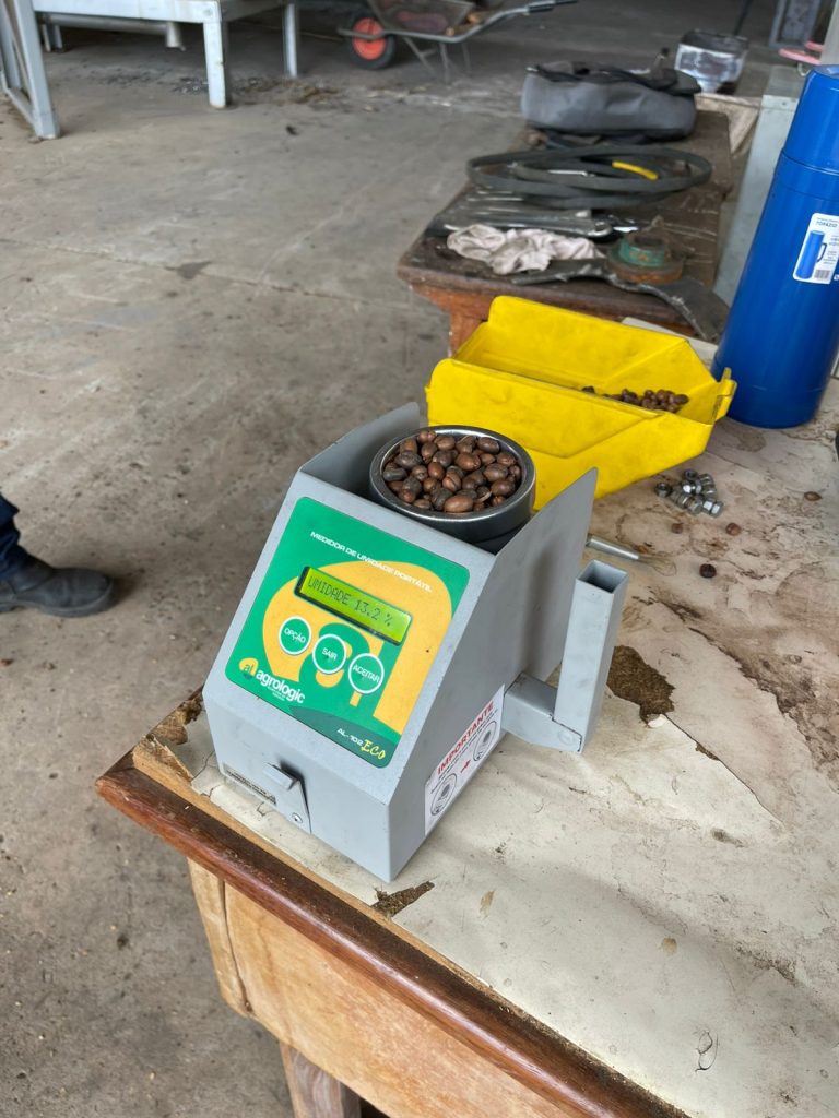 Cafeicultura em Guajará prevê safra de 100 mil sacas de café para este ano