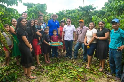 Em Silves, associação de produtores rurais assistida pelo Idam inicia colheita de café com estimativa de 147 sacas por hectare