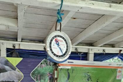Com apoio do Idam, pescadores de Tefé dão início à pesca do tambaqui após fim do período de defeso