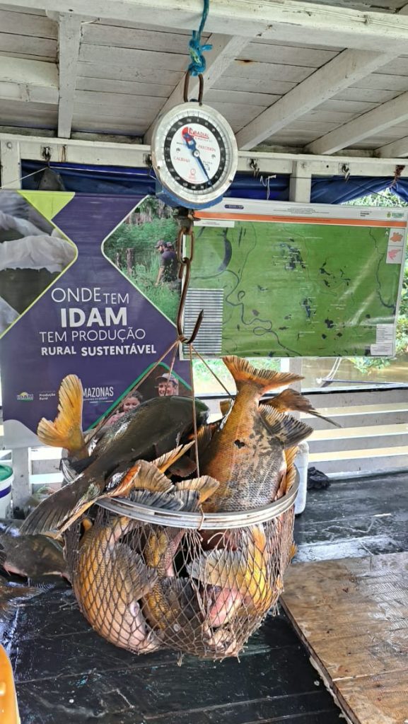 Com apoio do Idam, pescadores de Tefé dão início à pesca do tambaqui após fim do período de defeso