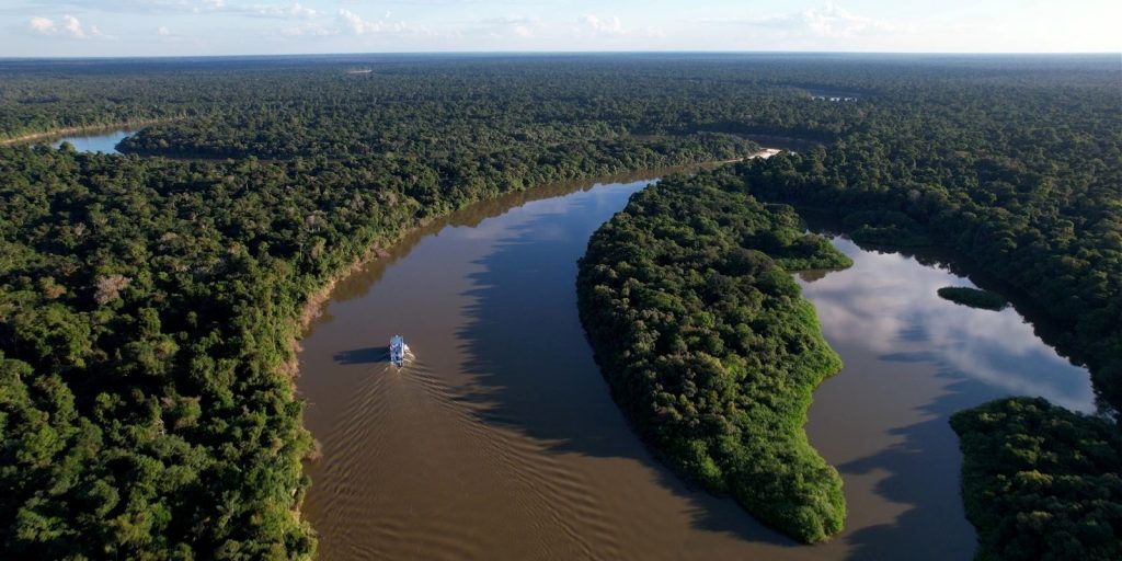 Amazonas reduz desmatamento em 14,6% em 2025, aponta relatório do MapBiomas