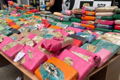 Segurança Presente: Denarc apreende aproximadamente 700 quilos de drogas no Amazonas avaliadas em 12,8 milhões