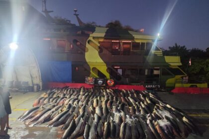 Base Arpão 2: PMAM apreende 26 toneladas de pescado durante abordagem a embarcação