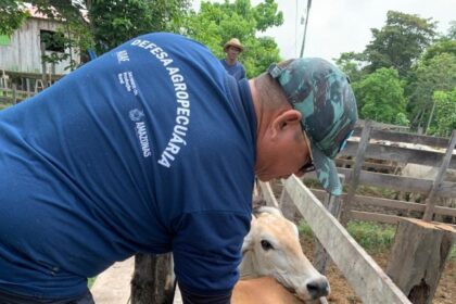 Adaf intensifica combate à raiva em Presidente Figueiredo