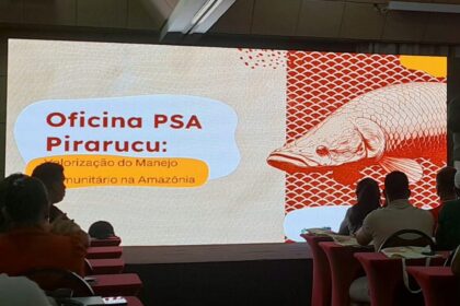 Idam assessora pescadores manejadores de Maraã para participarem do Programa de Pagamento por Serviços Ambientais
