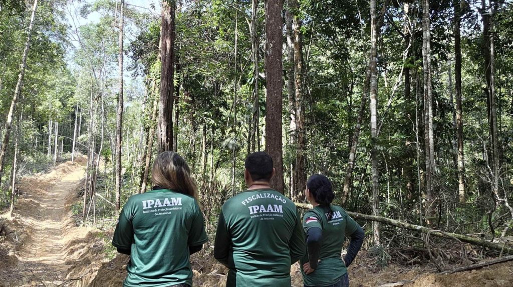 Ipaam encerra período de Defeso Florestal 2026 nesta sexta-feira em todo o estado