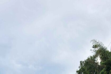 Governo do Amazonas avança com pavimentação do ramal Terra Preta, em Manacapuru