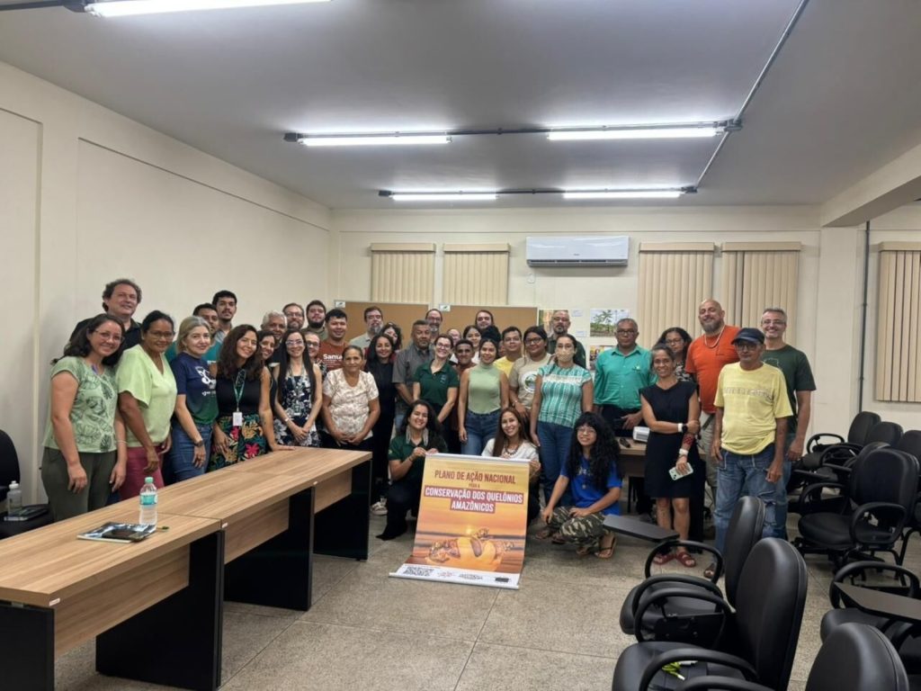 Ipaam destaca ações de fiscalização e manejo sustentável em oficina nacional sobre quelônios